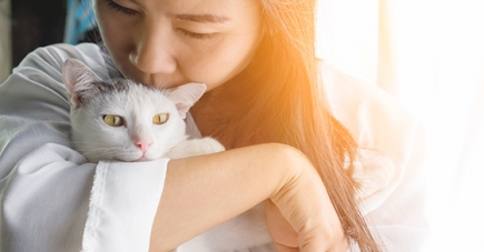 No, it’s not unusual to include your pet in your estate plan