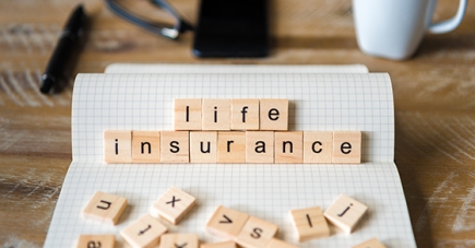 Life insurance can be a powerful estate planning tool for nontaxable estates